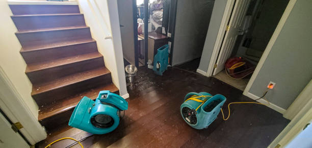 Best Carpet water damage restoration  in Hebron, OH