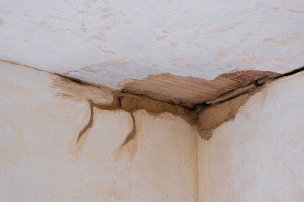 Water damage restoration mold remediation in Hebron, OH