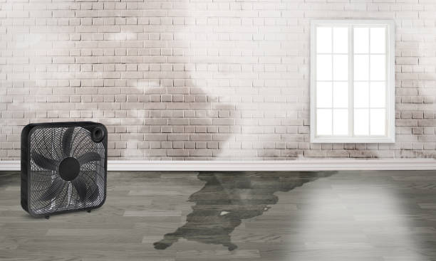 Best Ceiling water damage repair  in Hebron, OH