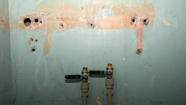 Best Flooded house restoration  in Hebron, OH