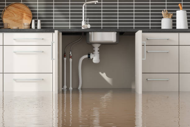 Best Flood restoration services  in Hebron, OH