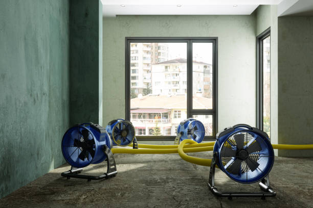 Best Water damage restoration mold remediation  in Hebron, OH